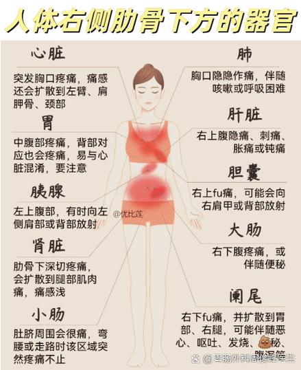 右下肋部隐痛的原因男性