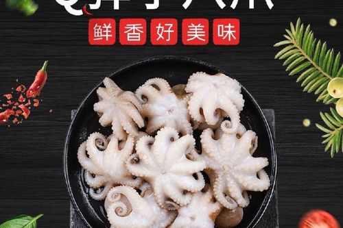 迷你小八爪鱼怎么清洗