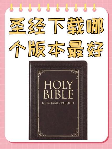 精读圣经官网截图2