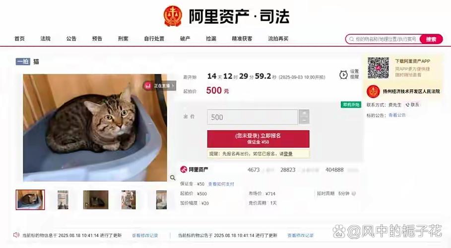 阿里拍卖司法拍卖网