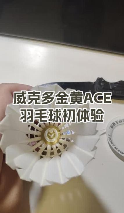 5年以内的羽毛球能用吗知乎