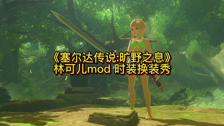 旷野之息mod