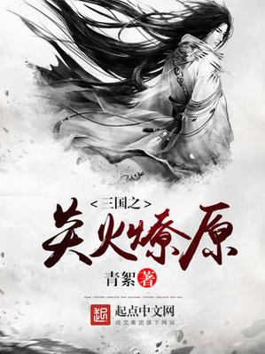燎原小说TXT百度网盘