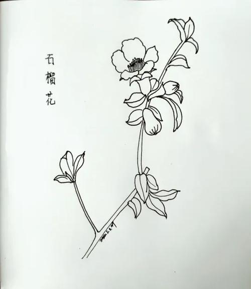 五月生日花