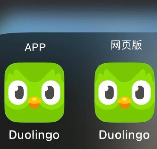 多邻国象棋课程入口截图1