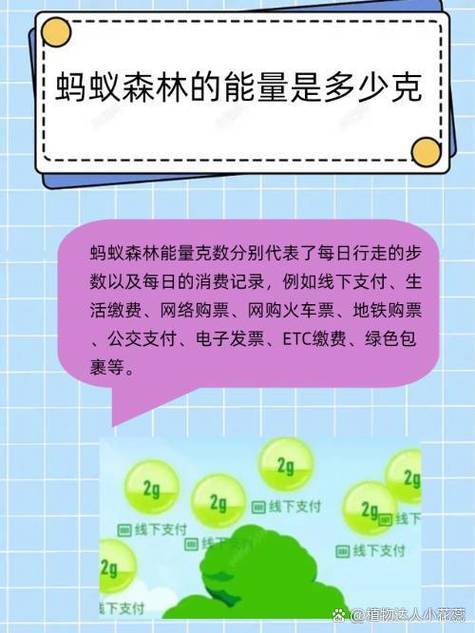 蚂蚁能量6克是啥消费
