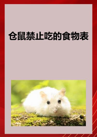 仓鼠禁止吃的水果