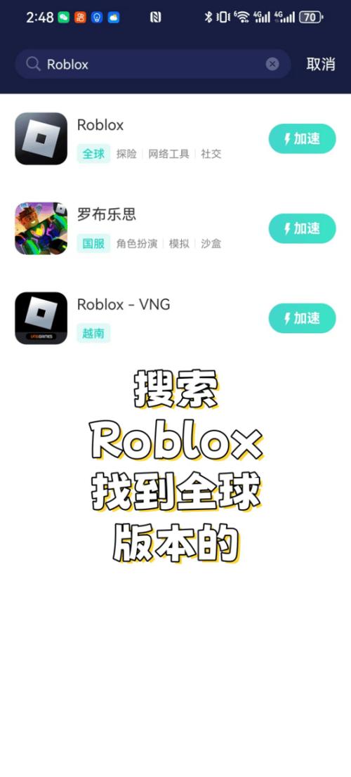 罗布乐思国际版下载