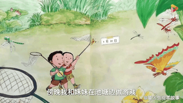 一年级看图写话捉蜻蜓