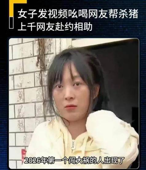 我要看呆呆解说