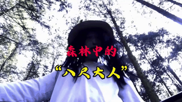 极思细恐还是细思极恐