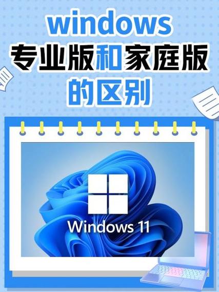 正版家庭版和盗版专业版截图2