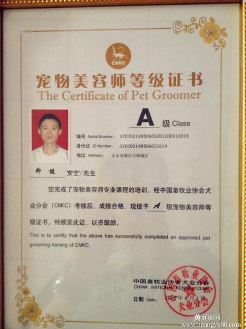 宠物美容师证怎么考