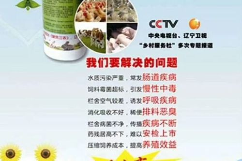 养殖场起什么名字最好