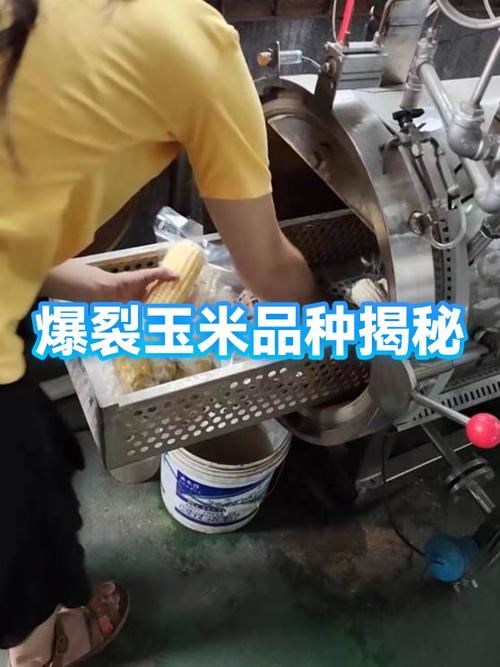 爆裂玉米为什么能爆开