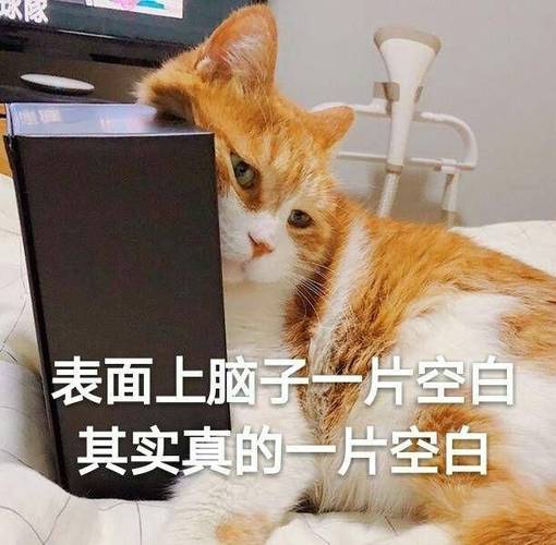 脑子一片空白没有思维记忆力很差