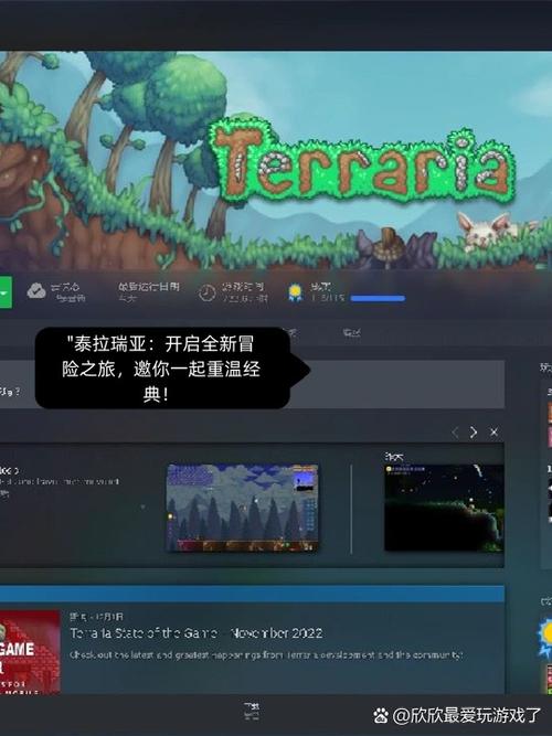 泰拉瑞亚联机进不去