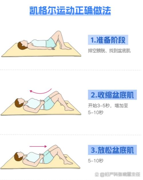 凯格尔盆底肌训练教程