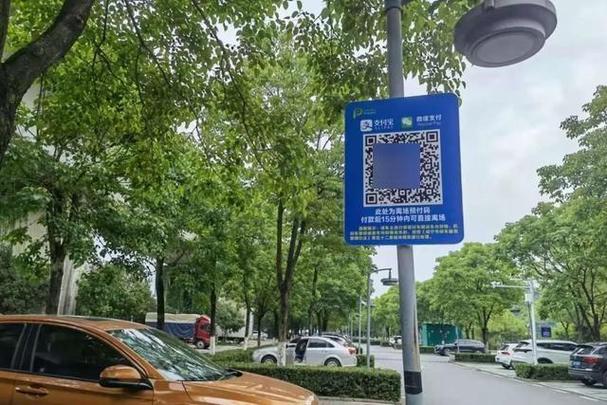 路边电子停车费到哪交截图3