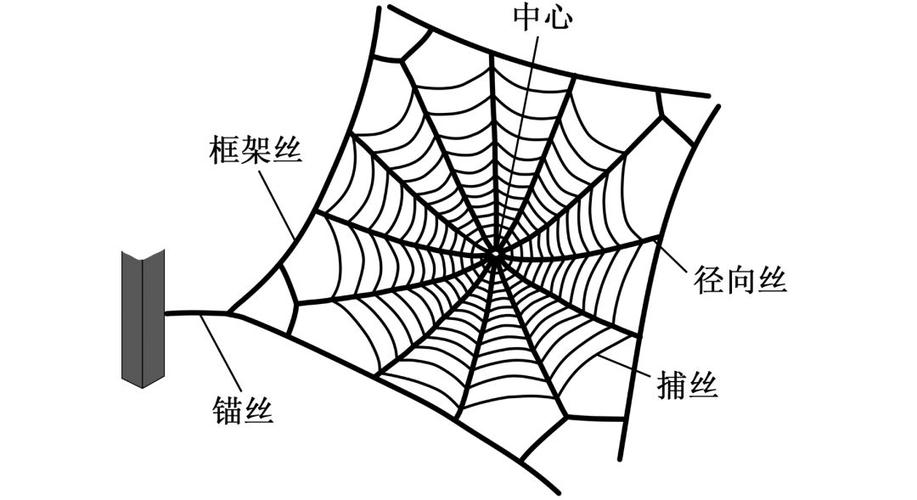 蜘蛛框架2.9 蜘蛛框架2.9
