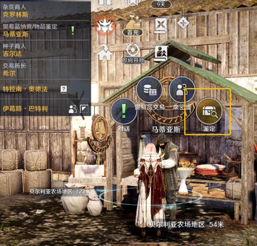 黑色沙漠mobile序号