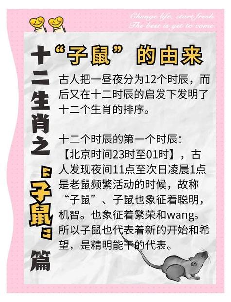 鼠最忌讳的三个属相