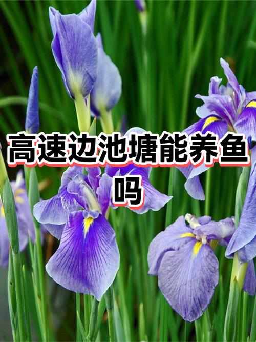 楼上养鱼的低频噪音怎么解决截图2