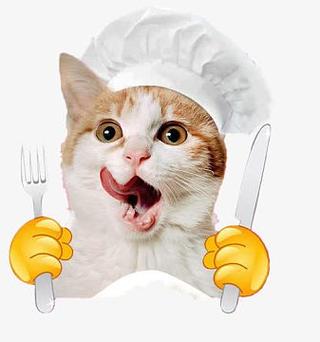 小馋猫表情包