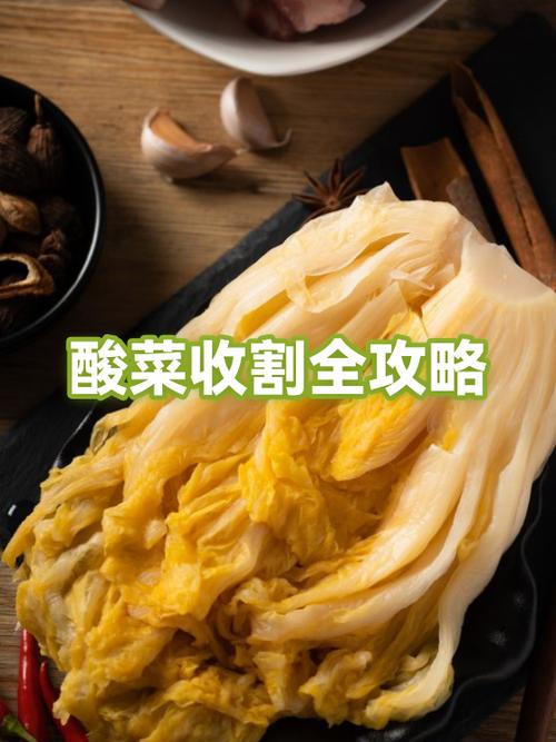 酸菜闻着臭臭的是怎么回事