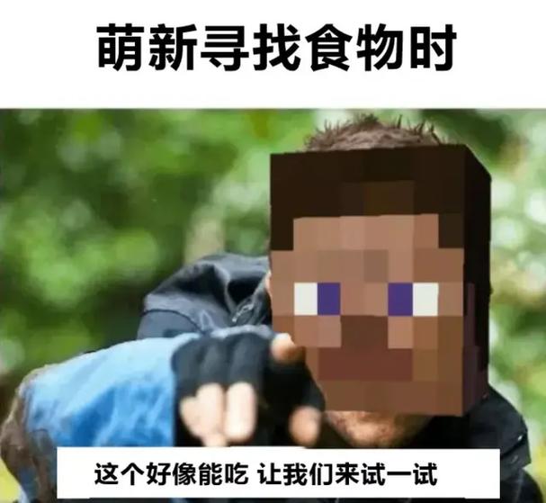 我的世界搞笑