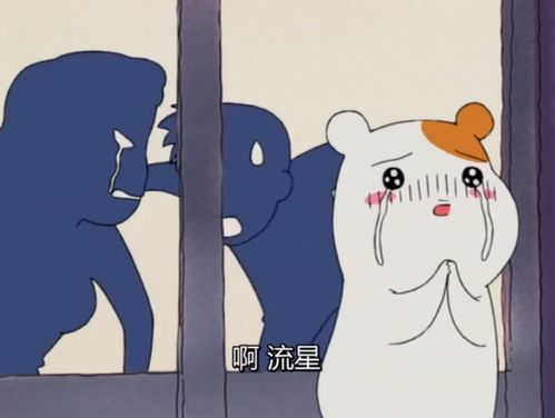 仓鼠管家2全集无删完整版
