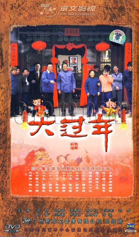 大过年电视剧全集