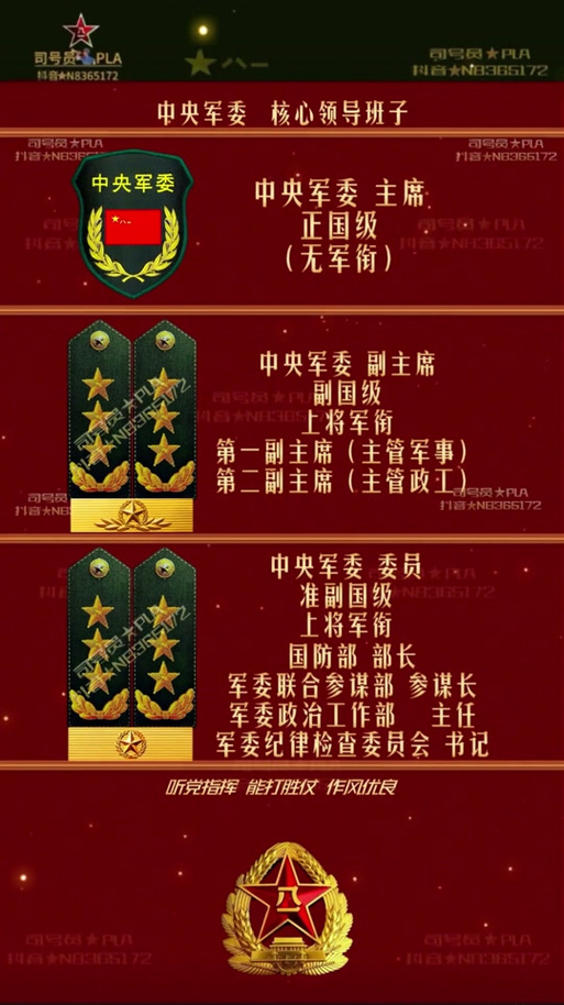 上将一共抓了多少人