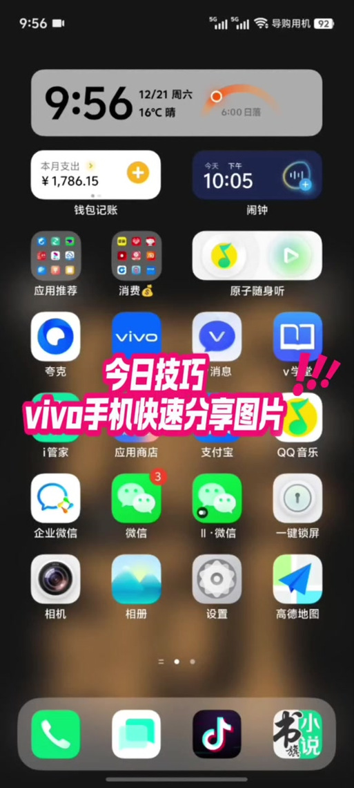vivo相册网络连接在哪里