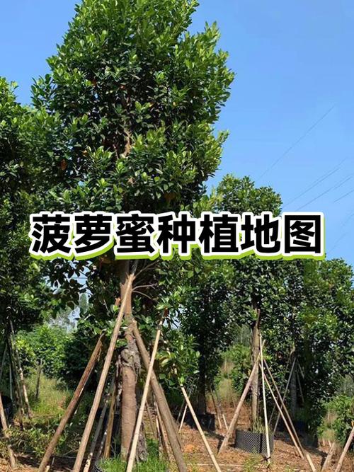 水果乐园种植赚钱截图2