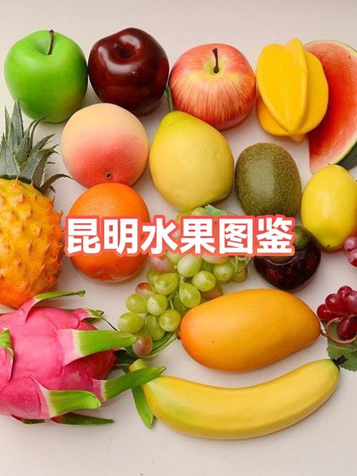 水果乐园种植赚钱截图3