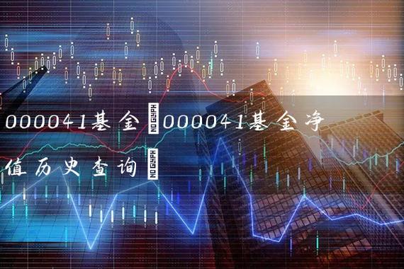 000041基金今天净值