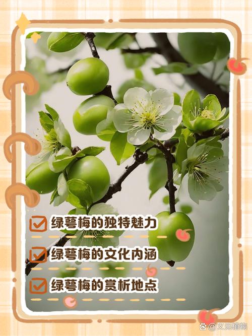 生化危机2重制版绿色梅花钥匙在哪截图2