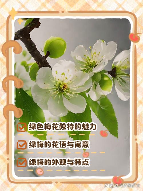 生化危机2重制版绿色梅花钥匙在哪截图3
