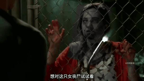 末世之丧尸妹妹是女皇