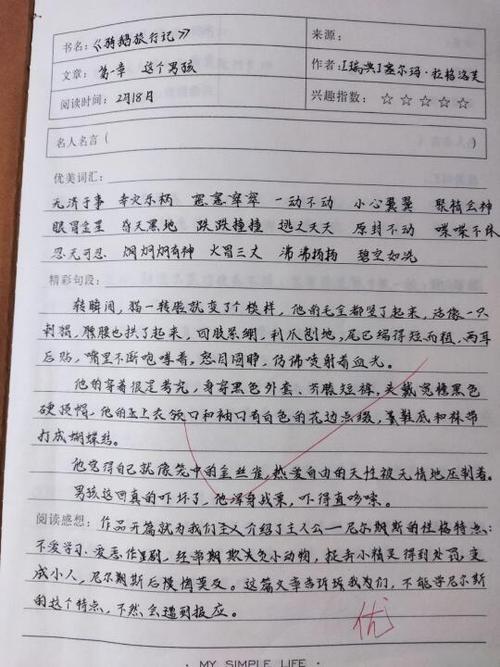 读书笔记摘抄笔记 读书笔记摘抄笔记