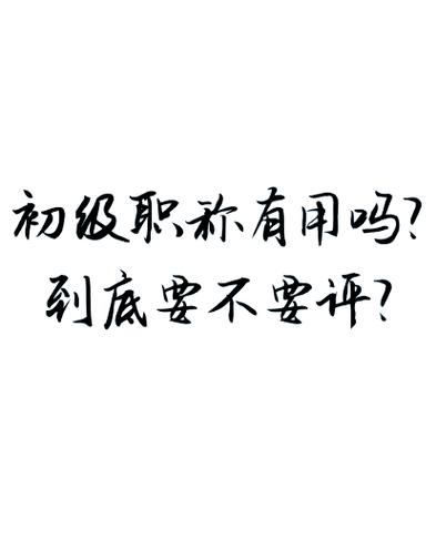 初级评价和次级评价截图3