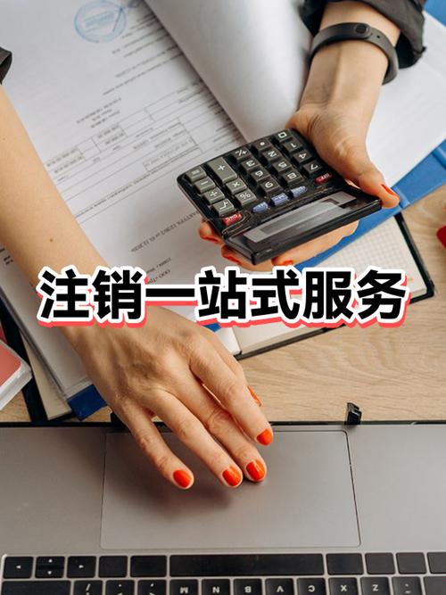 什么情况下可以注销公司截图2