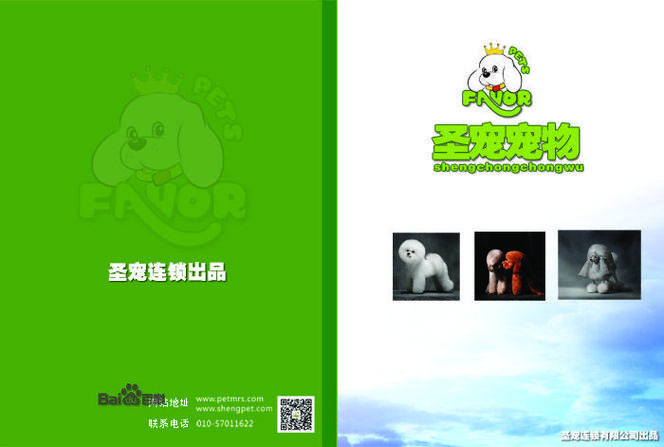 狗狗书籍TXT