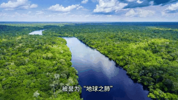 最大沼泽 最大沼泽