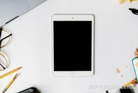 ipad锁屏后再打开黑屏截图2