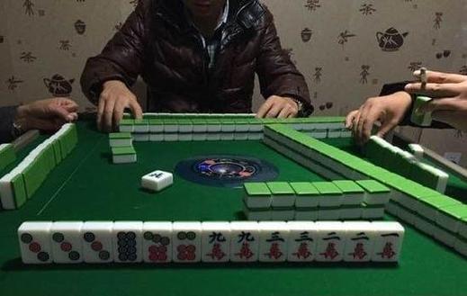 麻将原料截图3