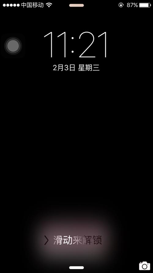 手机锁屏后再解锁黑屏截图3
