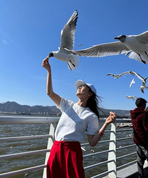 海鸥女星是谁