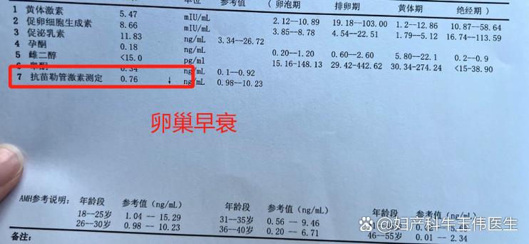 雌激素正常值范围